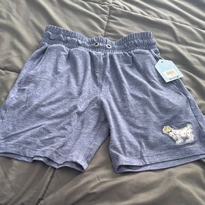 Kids Blue Shorts with Embroidered Design
